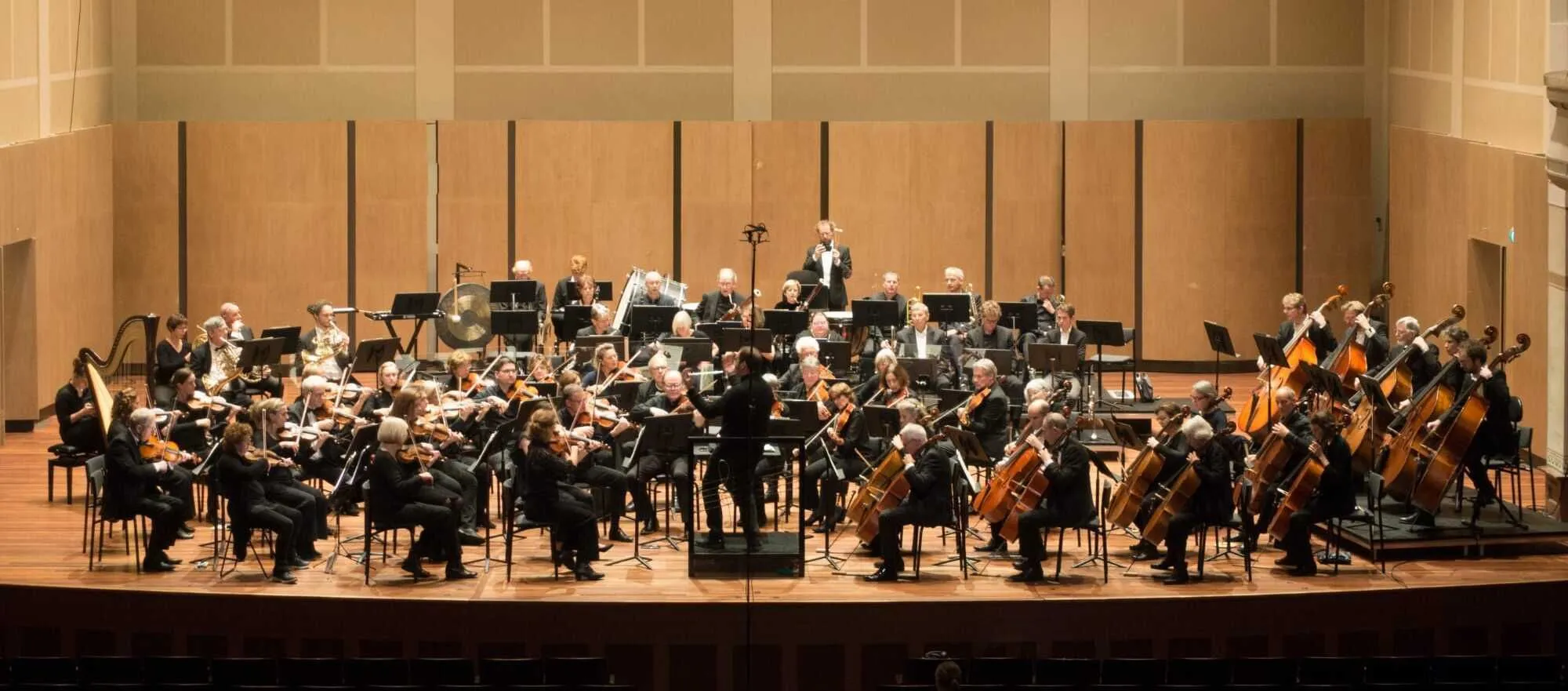 Symfonieorkest Nijmegen