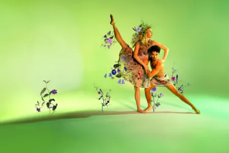 The Ukrainain Ballet Of Peace