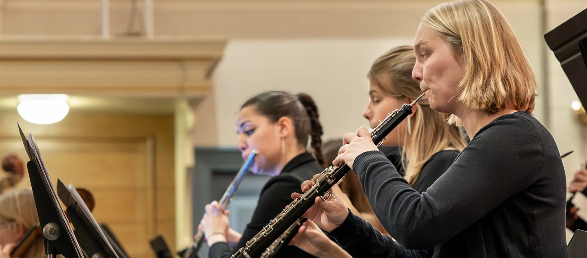 Vuurvogel Sinfonietta