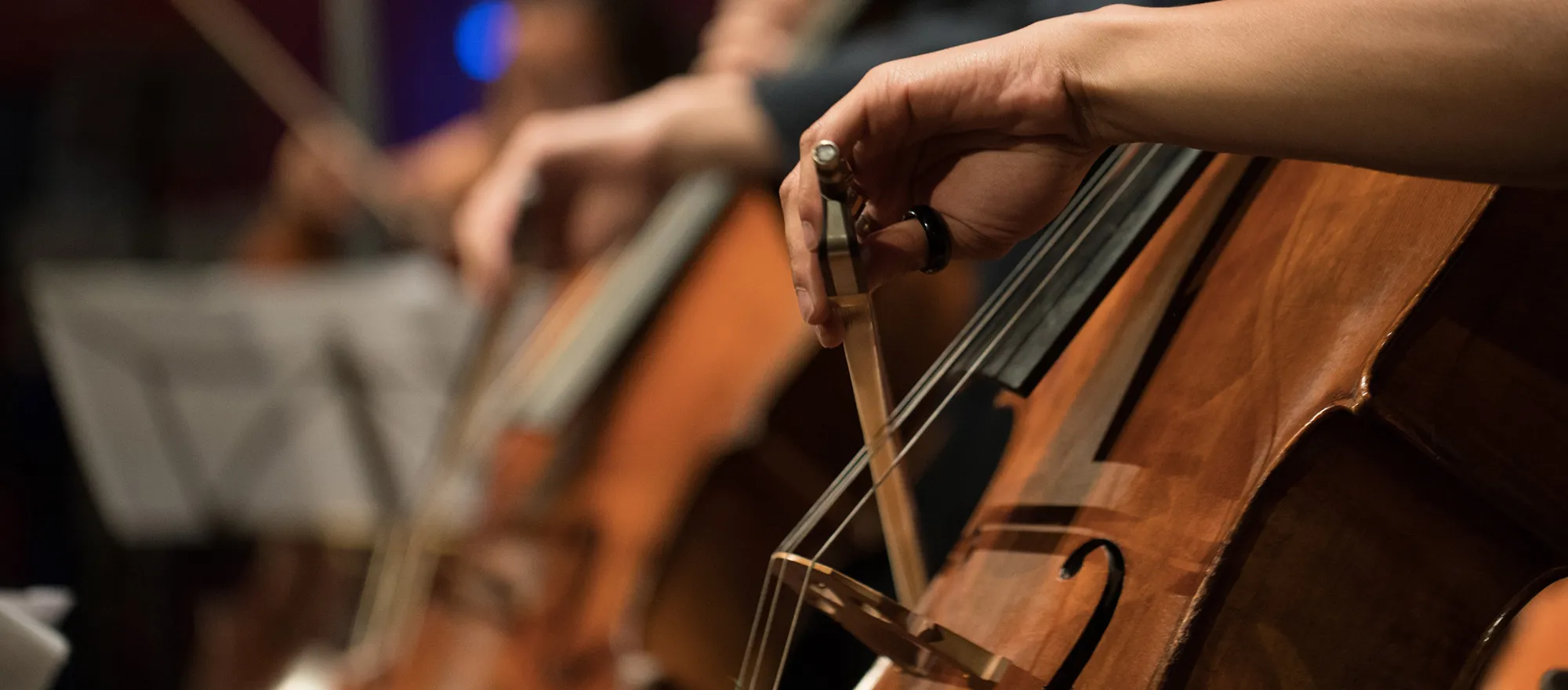 Internationaal Cello Festival Zutphen 2023 Slotconcert