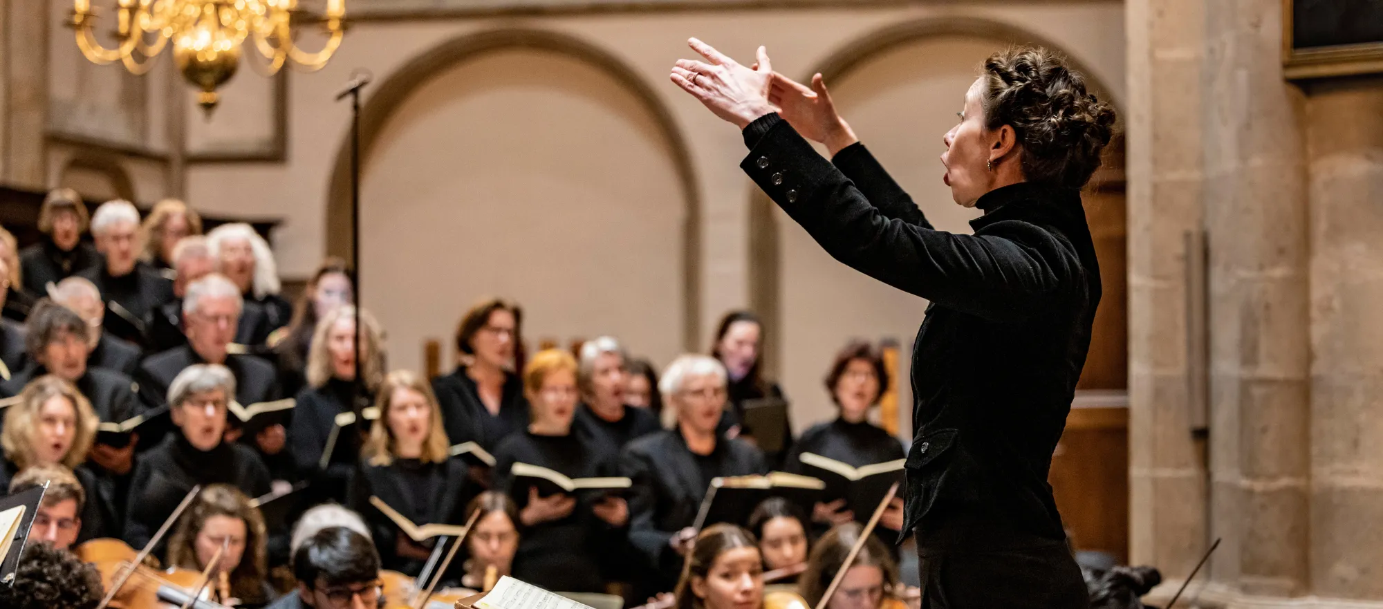 Mozart in contrast