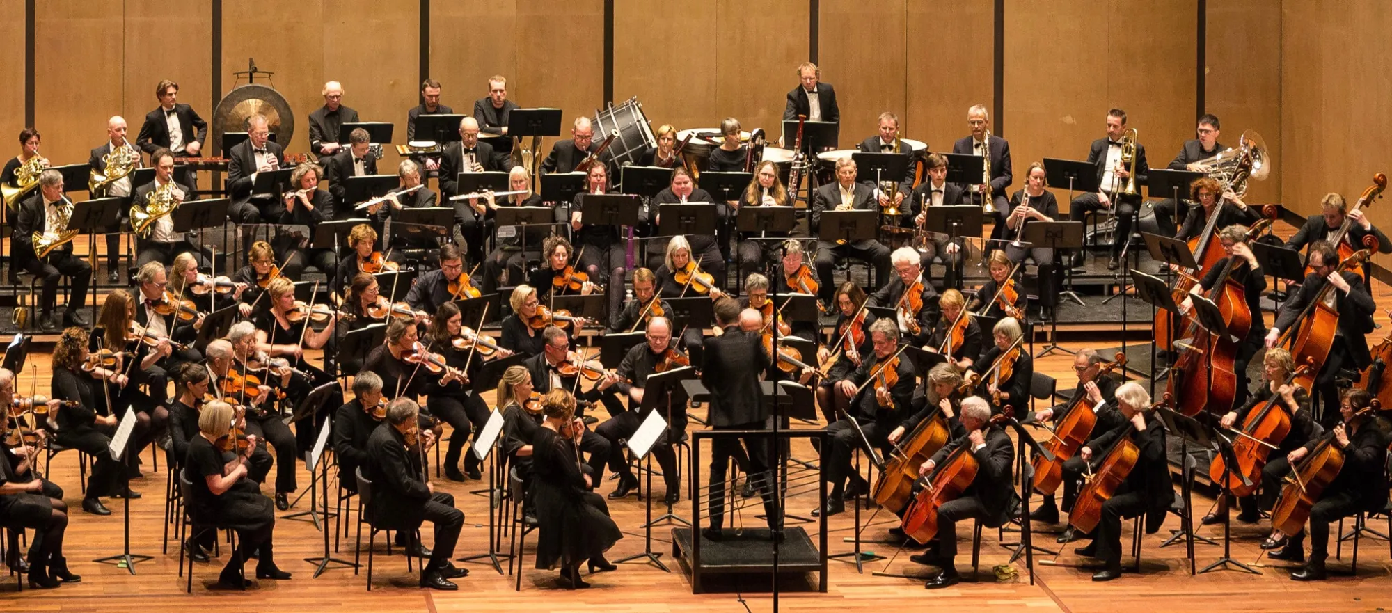Symfonieorkest Nijmegen